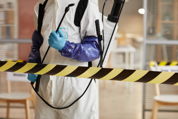 Professional Sewage Cleanup technician working in Woodstock, MN